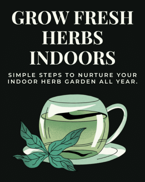 Grow-Fresh-Herbs-Indoors Grow Fresh Herbs Indoors